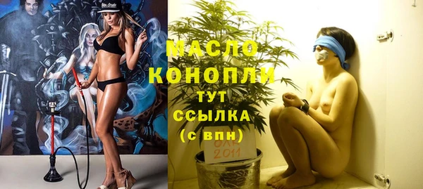 тгк Вяземский