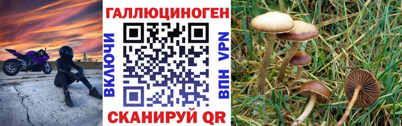 Купить закладки  Константиновск  Псилоцибиновые грибы Psilocybine cubensis 